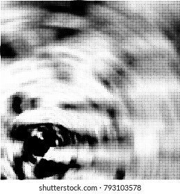Halftone radial black and white vector pattern