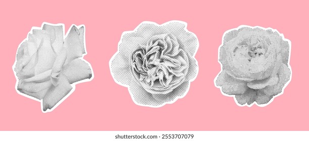 Halftone rose flowers set on pastel pink background. Modern collage elements set.