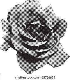 halftone rose in vector format