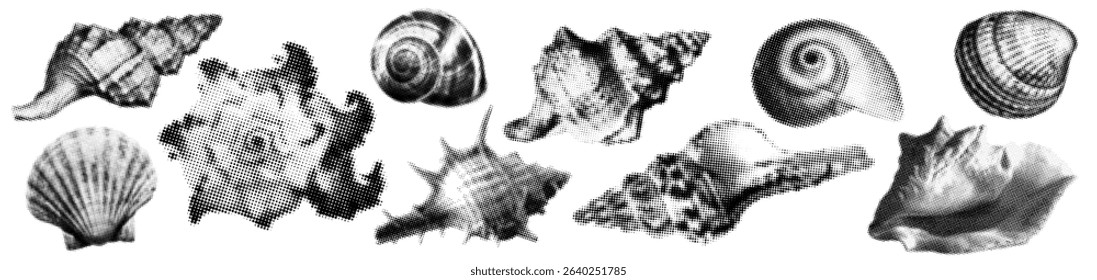 halftone seashell icon set. textured sea clam with trendy dotted effect. y2k stippling print for brutal design