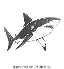Halftone shark illustration in vintage engraving style, aggressive marine predator vector graphic for nautical retro posters and ocean-themed design