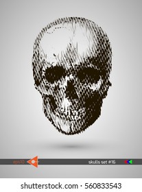 Halftone skull, line, Wave. Design element. Invitation, party. Billboard, flyer. Musical poster.