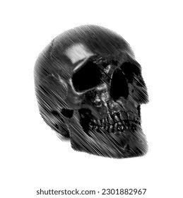 halftone skull logo realist vector design