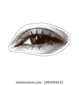 Halftone squinting female eye with torn paper outline. Halftone texture of the eye for modern collage. Trendy grunge style. Abstract eye for poster design, social media. Vector