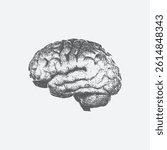 Halftone stipple effect on the brain for grunge punk Y2K collage design. human brain halftone retro grunge grain effect and stippling vector dots textured