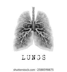 Halftone style lungs anatomy design vector