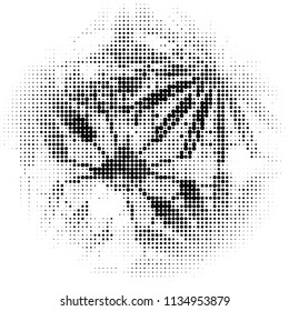 Halftone texture. Abstract blur of black dots on a white background