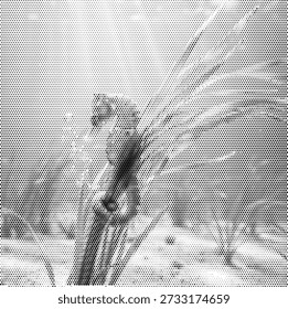halftone texture feathers pattern background wings avian nature softness plumage detail wingbeat background animal monochrome graphic design