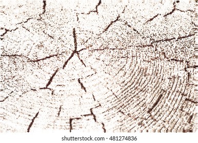 halftone tree rings. wood texture 