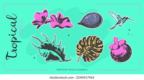 Vector de flores tropicales de semitono con calibri, orquídea y colibrí. Arte con mangostán y conchas marinas.