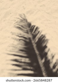 Halftone tropical leaf shadow. Realistic shadow from palm leaves isolated on a sand background with copy space. Tropic concept with coconut leaf shadow. Vector illustration