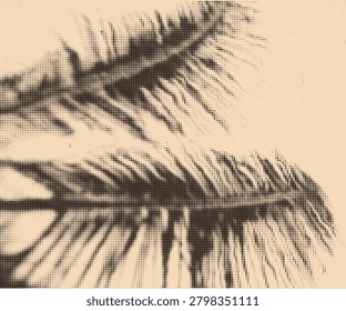 Halftone tropical leaf shadow. Realistic shadow from palm leaves isolated on a sand background with copy space. Tropic concept with coconut leaf shadow. Vector illustration