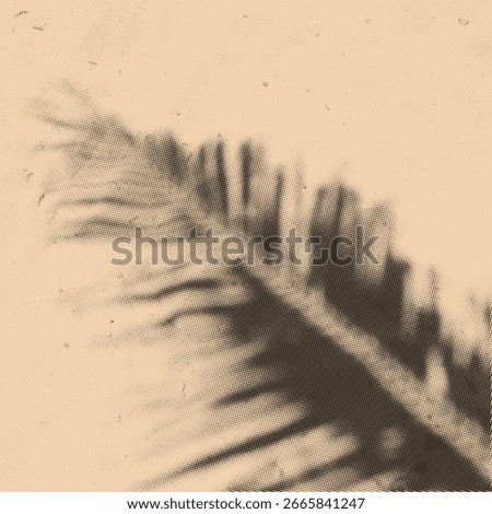 Halftone tropical leaf shadow. Realistic shadow from palm leaves isolated on a sand background with copy space. Tropic concept with coconut leaf shadow. Vector illustration