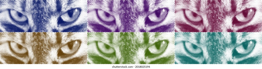 Halftone vector cat eyes collage. Design for banners and printing