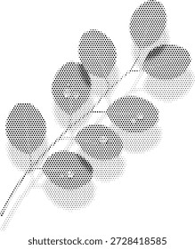 Vector semitono de hojas de eucalipto, ideal para la marca de aceites esenciales, medicina herbaria y temas de decoración natural.