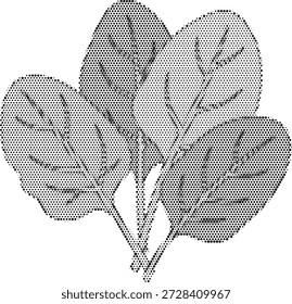 Halftone vector of fresh spinach leaves, representing iron-rich nutrition, healthy cooking, and organic leafy greens. Perfect for salad bar menus, smoothie ingredient lists, and plant-based diet infographics.