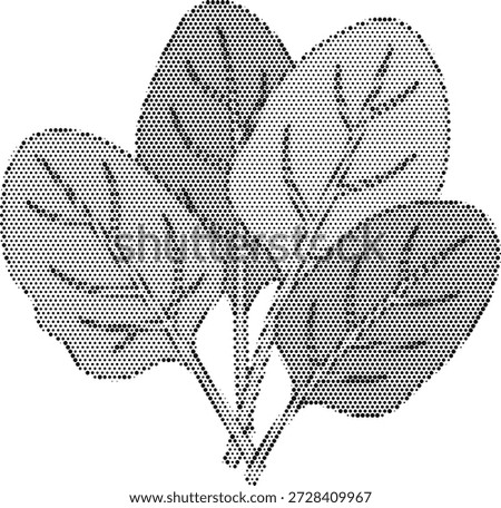 Halftone vector of fresh spinach leaves, representing iron-rich nutrition, healthy cooking, and organic leafy greens. Perfect for salad bar menus, smoothie ingredient lists, and plant-based diet infographics.