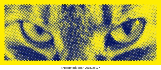Halftone vector yellow   blue cat eyes  Design for banners   printing