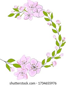 Half-wreath with delicate flowers of apple tree for celebrate holiday. Vector hand draw  Illustration EPS10. svg