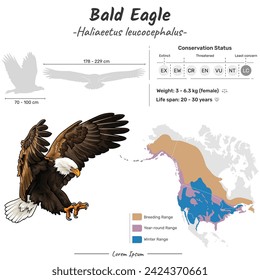 Haliaeetus leucocephalus Bald Eagle geographic range. Can be used for topics like biology, zoology. 
