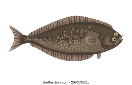 Haifisch auf weißem Hintergrund, Meeresfrüchte. Vektorgrafik.