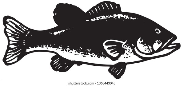 Halibut Fish - Retro Ad Art Illustration