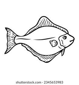 halibut fish sketch vector illustration,isolated on white background,top view