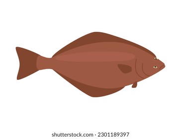 Halibut, flatfish seafood and underwater color animal. Water delicacy, gourmet. Fishing halibut. Vector illustration isolated on white background