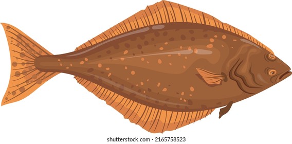 Halibut icon. Fresh product logo. Cartoon fish isolated on white background