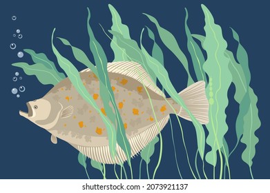 Halibut and kelp. Vector illustration of fish in a thicket of seaweed in the style of cartoon. Isolated on dark blue background.