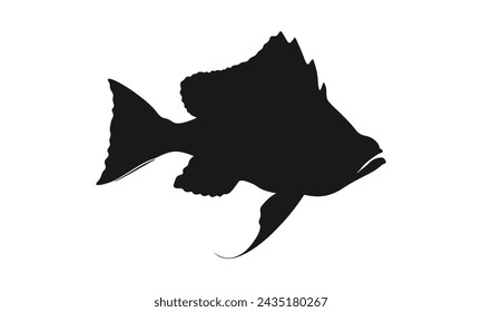 halibut vector silhouette white background