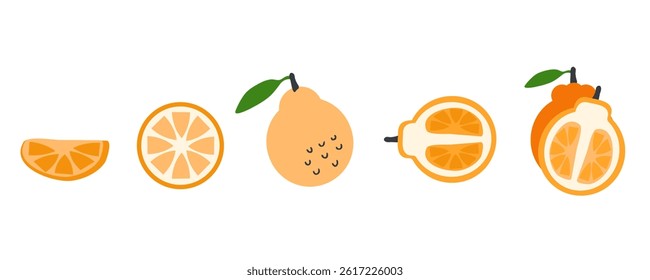 Hallabong orange tangerine fruit half vector collection. Perfect art for stickers, poster, label, sale, card. Hand drawn illustration for decor and design.

