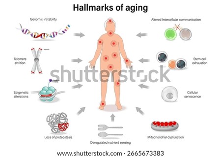 Hallmarks of ageing diagram. Longevity. Cellular and Molecular Life Sciences. Anti-aging medicine.
