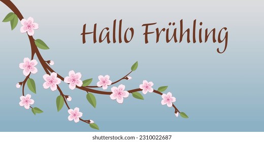 Hallo Frühling - Deutscher Text - Hallo Frühling. Grußbanner mit einem Kirschblütenzweig.