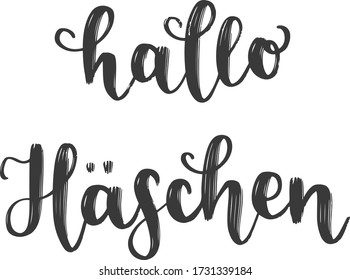 "Hallo Häschen" grabado a mano en alemán, en inglés significa "Hello conejito". Letras alemanas aisladas en blanco. Arte de caligrafía moderna vectorial 