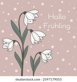 Hallo Frühling - text in German language - Hello Spring. Card with beautiful white flowers on a pink background with dots. 