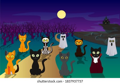 Halloween 3 Many cats. Cemetery. Ghost, Vampire, Pumpkin-Cat and others