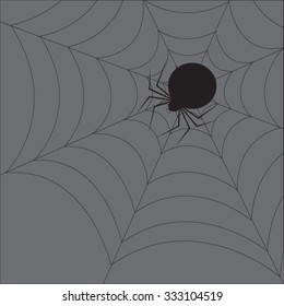 Halloween abstract background with black spider, illustration.