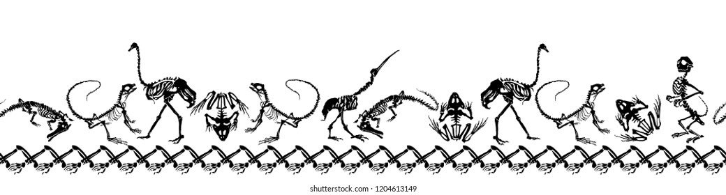 Halloween animals - black skeletons of reptiles (crocodiles, lizards, frogs), monkeys and birds (ostriches and herons) on white background. Narrow seamless pattern. Black and white vector illustration