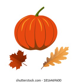  Halloween, Autumn, pumpkin, oak and maple leaves. Vector illustration  on an isolated background.Template for Halloween holiday design, banner, print, poster, invitation.