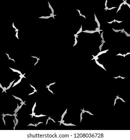 Halloween background with bats on black. Halloween party card background template. Flying bats.
