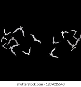 Halloween background with bats on black. Halloween party card background template. Flying bats.
