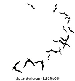 Halloween background with black bats on white. Halloween party card background template. black flying bats.
