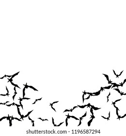 Halloween background with black bats on white. Halloween party card background template. black flying bats.
