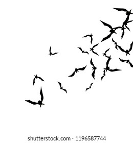 Halloween background with black bats on white. Halloween party card background template. black flying bats.