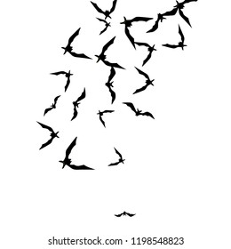 Halloween background with black bats on white. Halloween party card background template. black flying bats.