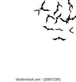 Halloween background with black bats on white. Halloween party card background template. black flying bats.
