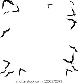 Halloween background with black bats on white. Halloween party card background template. black flying bats.
