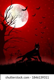 Halloween background with black wolf