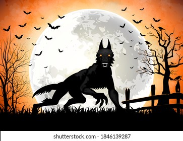 Halloween background with black wolf in graveyard